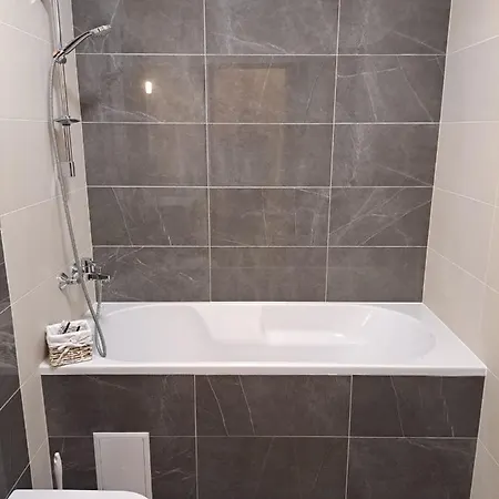 Monica Τιμισοάρα