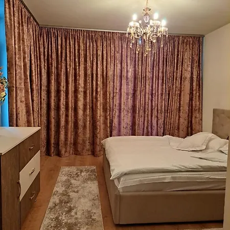 Monica Τιμισοάρα